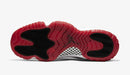 Jordan 11 "Bred"