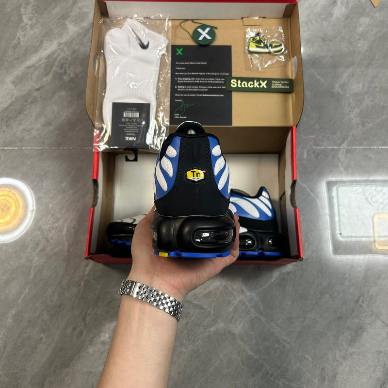 Air Max Plus TN 1 “Persian Violet”