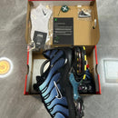 Air Max Plus TN 1 “Nature Blue”