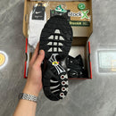Air Max Plus TN 1 “Black Metallic Silver”