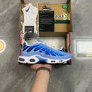 Air Max Plus Tn 1 “Royal Pulse”
