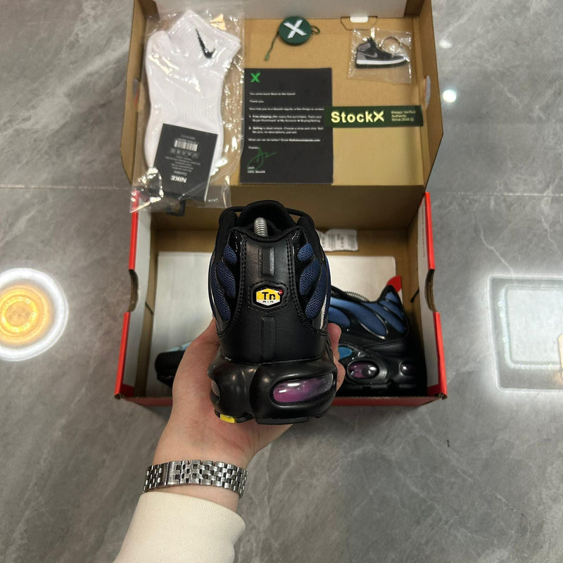 Air Max Plus TN 1 “Nature Blue”