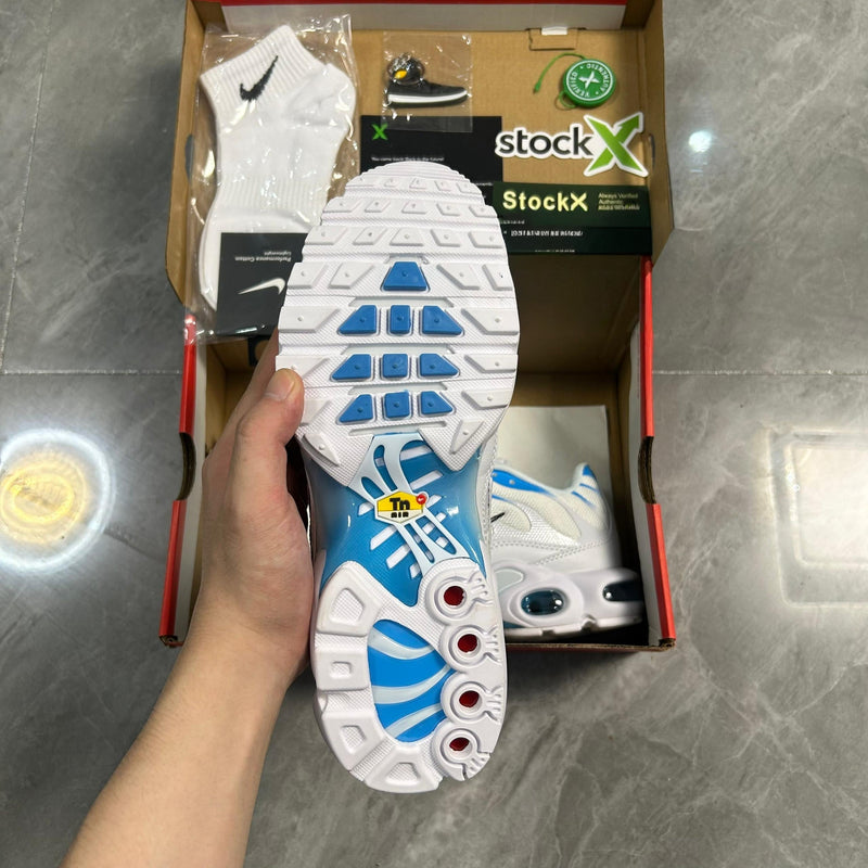 Air Max Plus TN 1 “Blue Flury”
