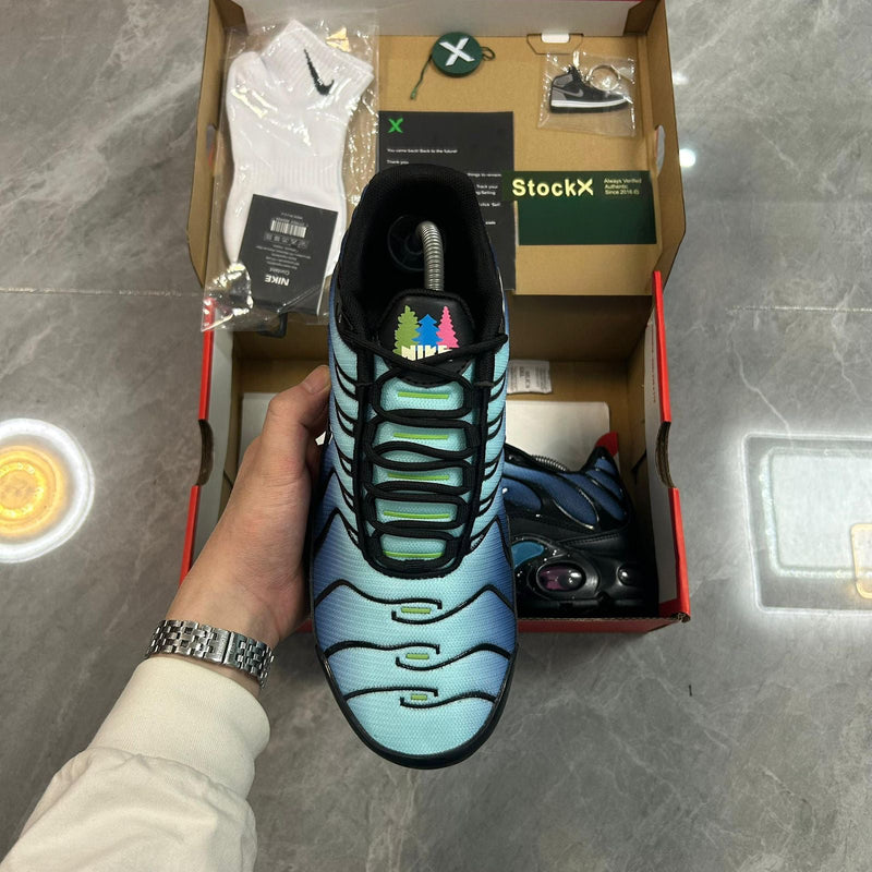 Air Max Plus TN 1 “Nature Blue”