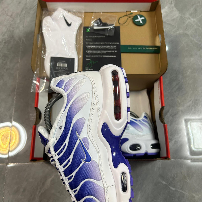 Air Max TN Plus "Purple Dragon"