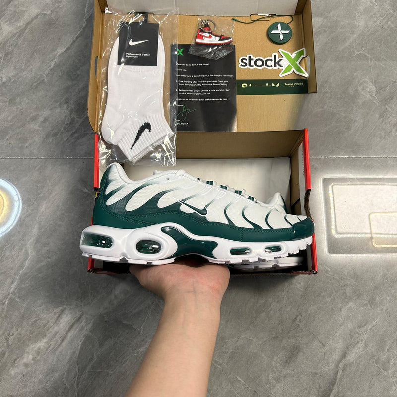 Air Max Plus TN 1 x Lacoste