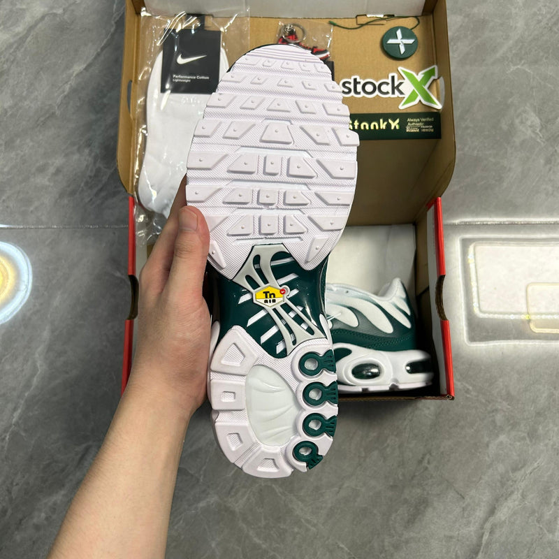Air Max Plus TN 1 x Lacoste