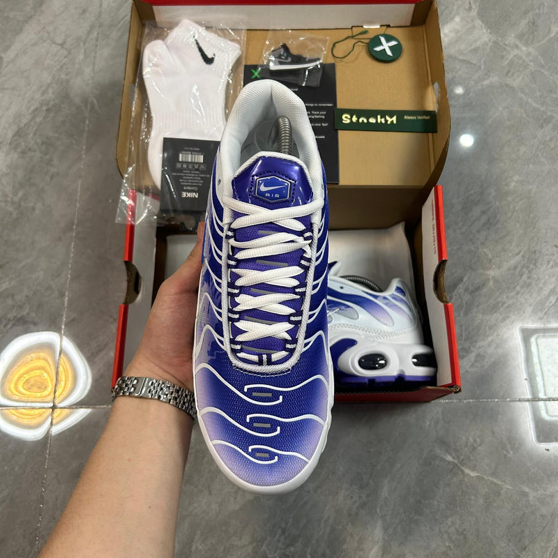 Air Max TN Plus "Purple Dragon"