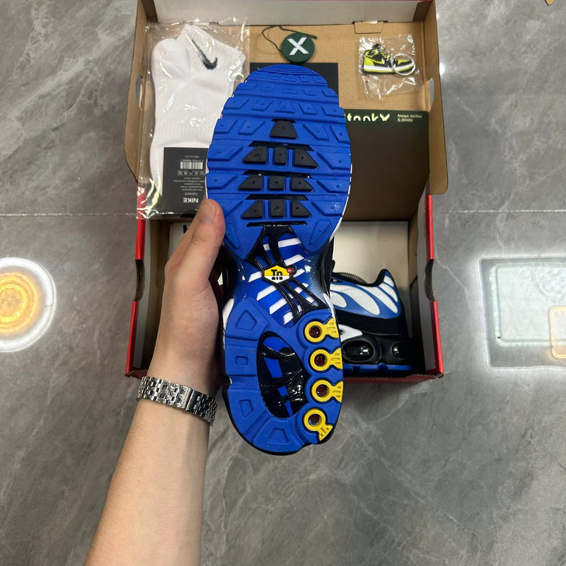 Air Max Plus TN 1 “Persian Violet”