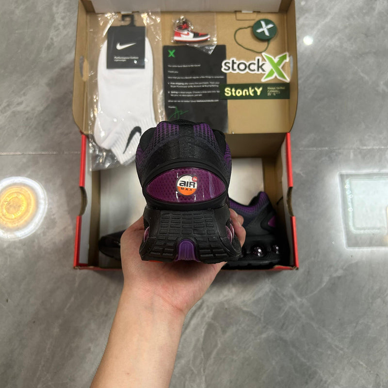 Air Max DN "Bold Berry"