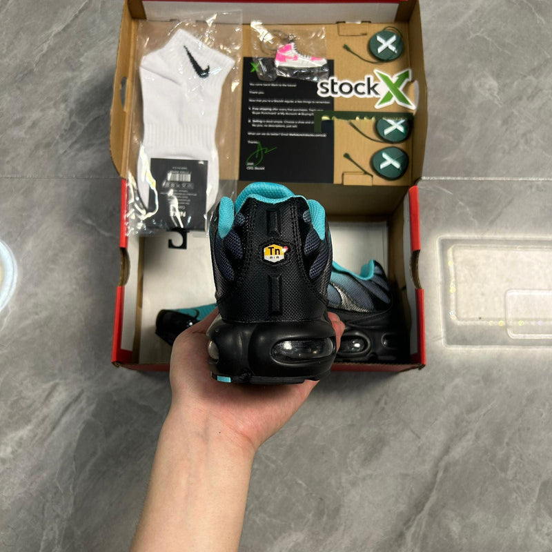 Air Max Plus Tn 1 “Tiffany”