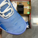 Air Max Plus Tn 1 “Royal Pulse”