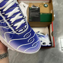 Air Max TN Plus "Purple Dragon"