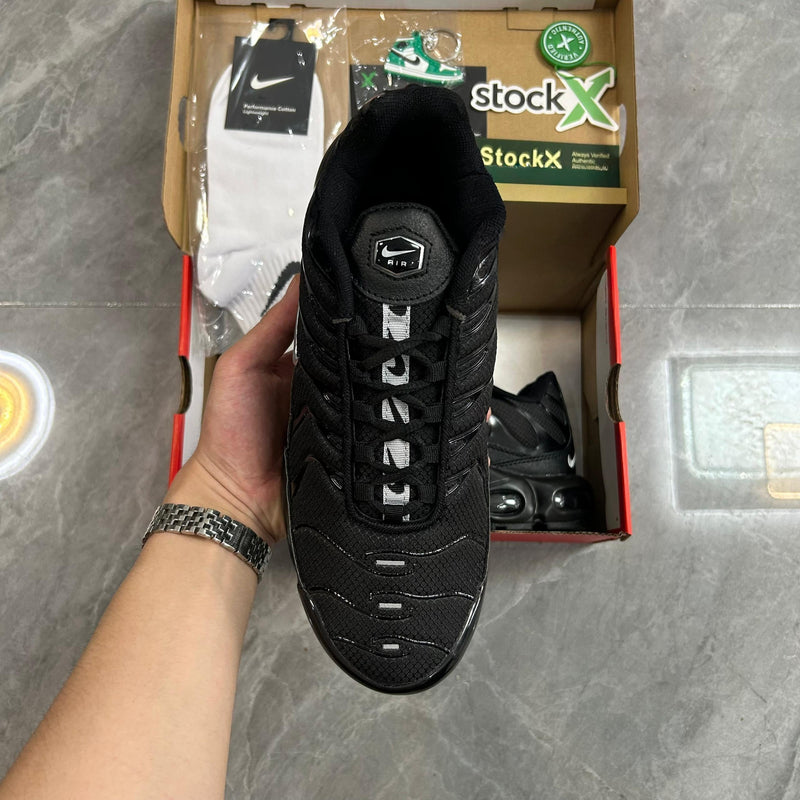 Air Max Plus TN 1 “Black Metallic Silver”