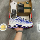 Air Max TN Plus "Purple Dragon"