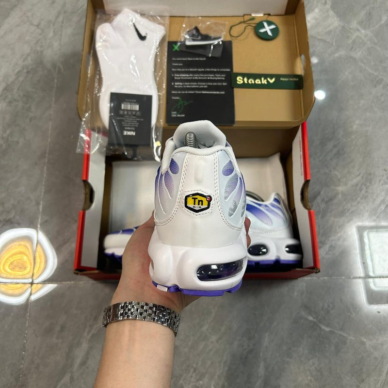 Air Max TN Plus "Purple Dragon"