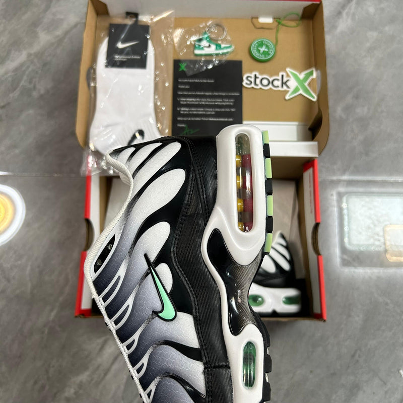 Air Max Plus TN 1 “Seafoan”