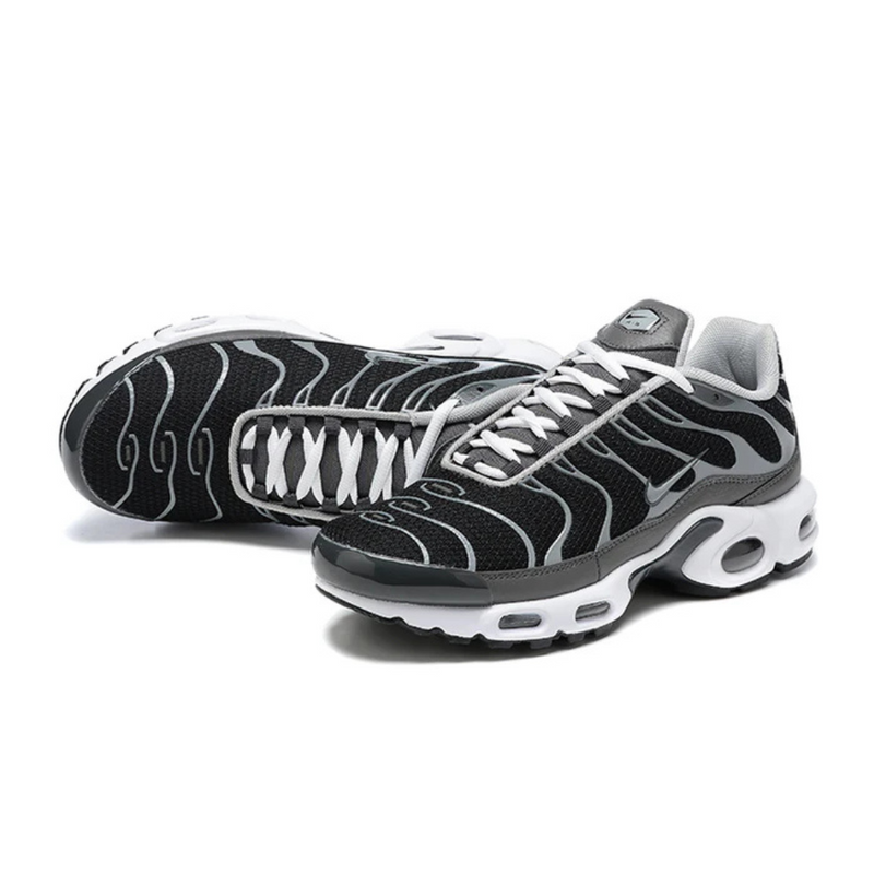 Air Max Plus Tn 1 “Black Silver”