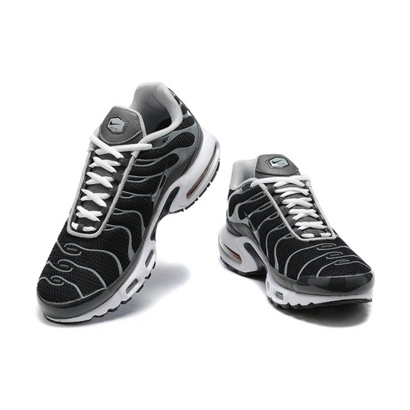 Air Max Plus Tn 1 “Black Silver”