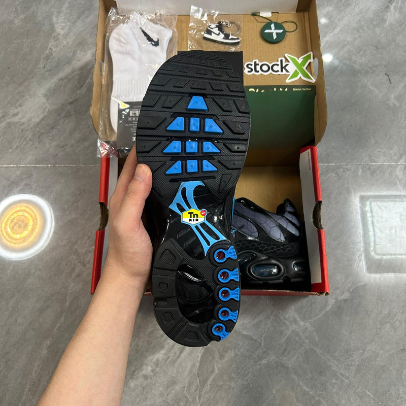 Air Max Plus TN 1 “Black Hex”