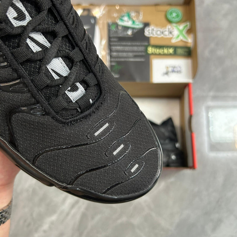 Air Max Plus TN 1 “Black Metallic Silver”