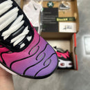 Air Max TN Plus "Dusk"