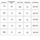 Conjunto Tracksuits Deutscher