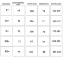 Conjunto nike tech fleece